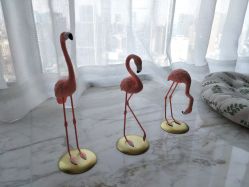 -汐月Health纤体spa中心