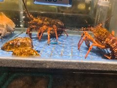 -青蓬蒸汽海鲜·深圳老字号·团建聚会(壹方城店)