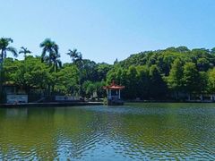 -深圳湾公园(南山区)