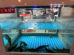 -石锅苗苗鱼(武汉首店)
