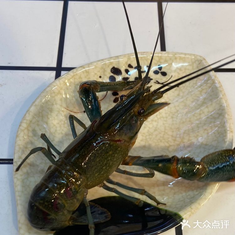 昆明首家自助海鲜粥底火锅🔥锅底不要钱‼️