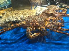 -盒马鲜生(顺义店)