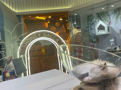 -Honey Bacca 哈尼芭卡高端萌宠(朝阳大悦城店)