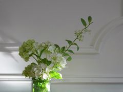 -Legno.ita Coffee by Wood(襄阳南路店)