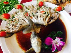 孔雀武昌鱼-田园小观园(武大店)