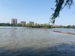 -济南大明湖景区