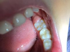 -泰康拜博口腔(世博园乐尔店)