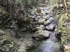 -石台牯牛降景区