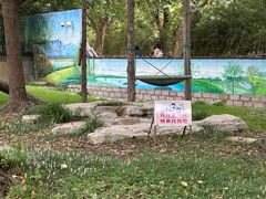 -上海野生动物园