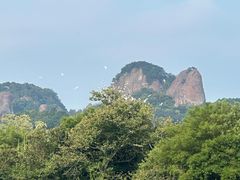 -江西龙虎山景区