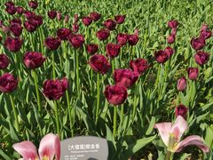 -国家植物园