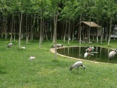 -艾溪湖湿地公园