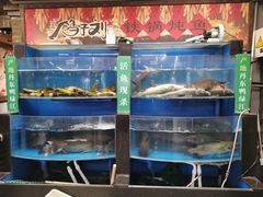 水产区-鸽子刘铁锅炖鱼(劲松店)