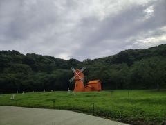 -苏州上方山国家森林公园