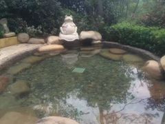 -天目湖涵田半山温泉