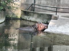 -成都动物园