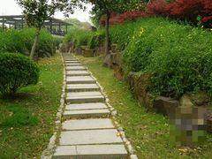 android_upload_pic-上海鲜花港