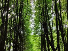 -同里国家湿地公园