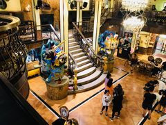 -more than meow吴止猫主题餐厅(承德 中船汇店)