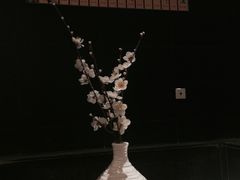 -张家港金凤凰度假村温泉