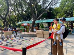 -晓港公园