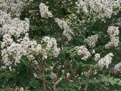 -杭州城北体育公园