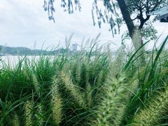 -长洲岛都市农业公园