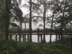 -四明山国家森林公园