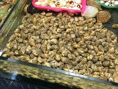 -淡村菜市场