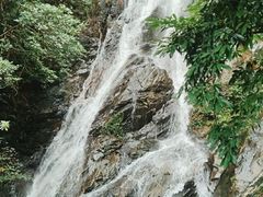 -梧桐山风景名胜区