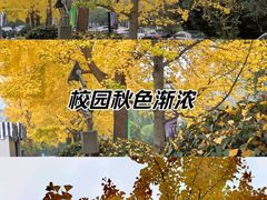 -城市运动公园(未央区)