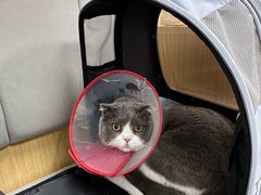 -美联众合动物医院·24h转诊中心
