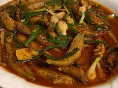 -马帮菜馆·美味野生菌