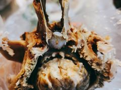 羊脑-洪记白水羊头(天坛店)