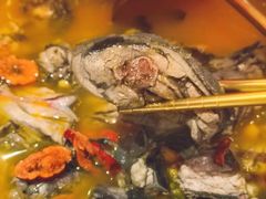 -Darling Queen·Mini·Live·House