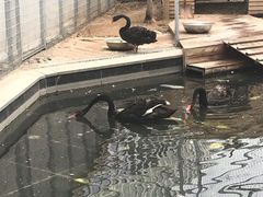 -北京园博大酒店