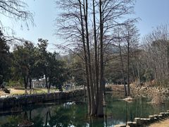 -青龙山国家森林公园