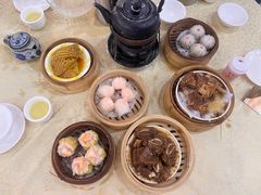 -宝塘茶楼
