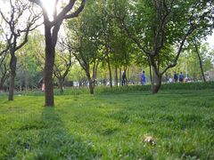 -长春公园(普阳街道)