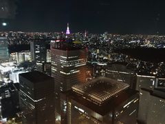 -东京都厅舍