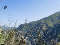 -天柱山风景区