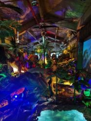 -恐龙探索乐园(磁器口店)