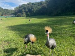 -沈阳森林动物园