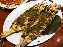 -Cabe Ijo