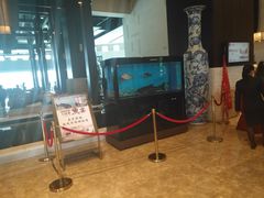 -河源万绿湖美思威尔顿酒店