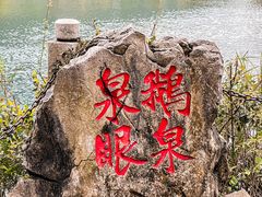 -靖西鹅泉风景区