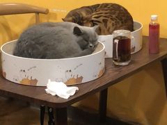 -磁器口古镇