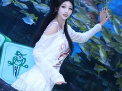 -海合安成都极地海洋公园