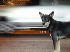 -宁曼路