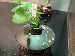 -双季花艺园艺市场(浦东店)